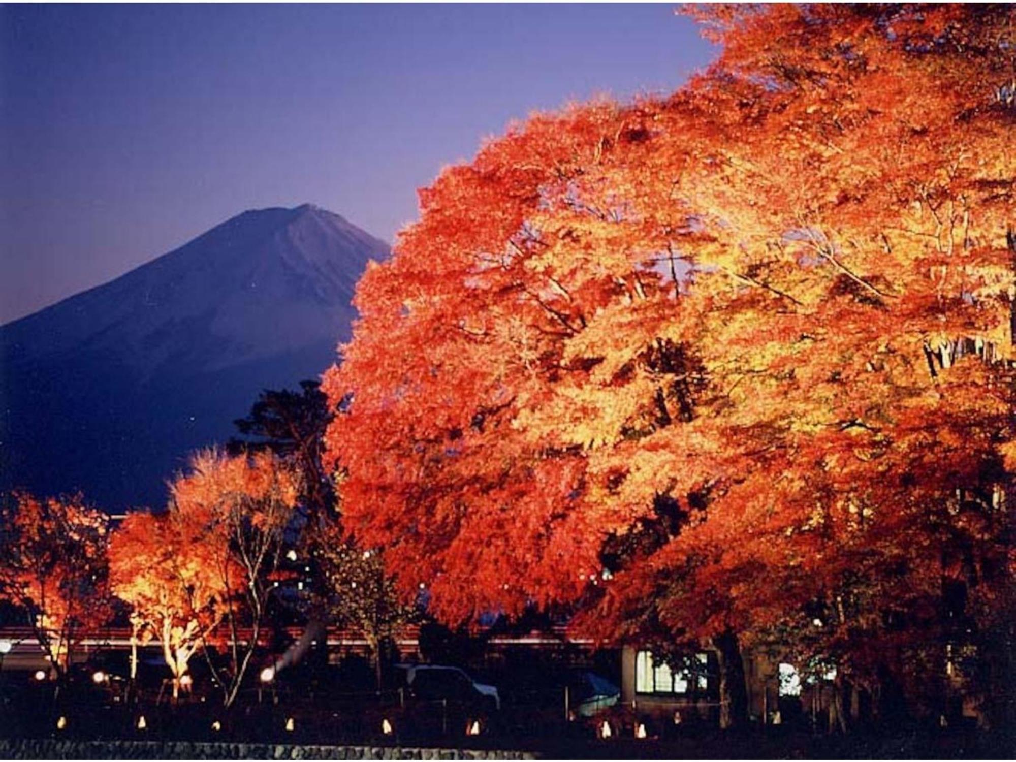 Fujisan Resort Hotel - Vacation Stay 57971V Fujikawaguchiko Bagian luar foto